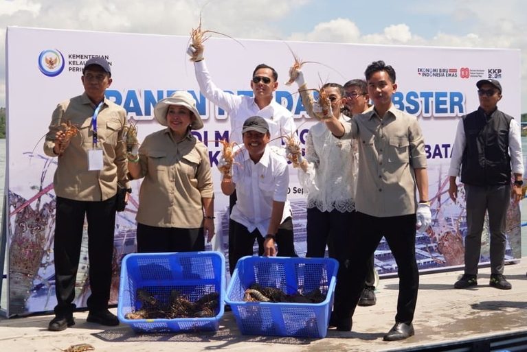 Tajuk J5NEWSROOM.COM: Lobster Batam Tembus Singapura, Saatnya Anak-Anak Kepri Kuasai Pasar!