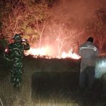 Dalam Sehari, Terjadi Dua Titik Karhutla di Lahan PT SBP Bintan