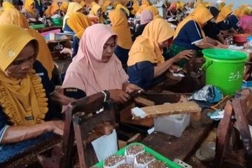 Usaha Rokok Rakyat Jadi Sumber Penghidupan Ribuan Pekerja Desa di Madura