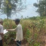 Kelompok Tupang dan Anas Kembali Kuasai Lahan di Toapaya Selatan