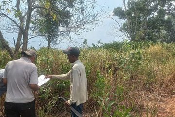 Kelompok Tupang dan Anas Kembali Kuasai Lahan di Toapaya Selatan
