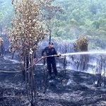 Brimob Polda Kepri Padamkan Kebakaran Lahan di Tiwangkang Batam